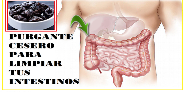 purgante para el extreñimiento
