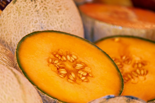 Semilla de melon