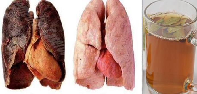 Hoja de laurel para los pulmones